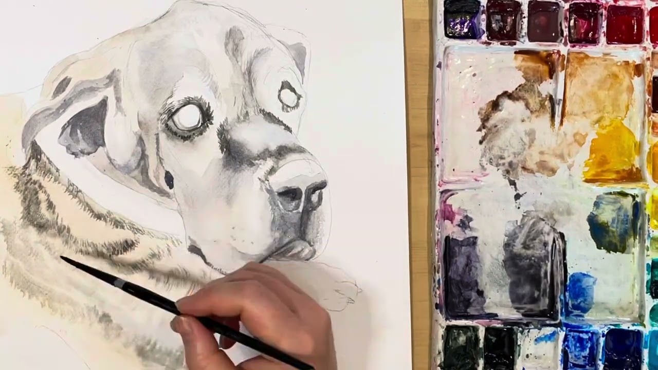 Nieko the Great Dane, Watercolour Pet Portrait Time-Lapse - JNDS