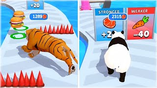I Evolved Tiger into Panda in Cat Evolution Game!