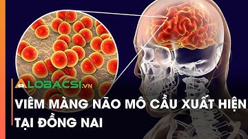 Viêm màng não mô cầu xuất hiện tại Đồng Nai | Video AloBacsi