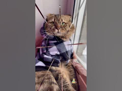 какого числа 8 марта
