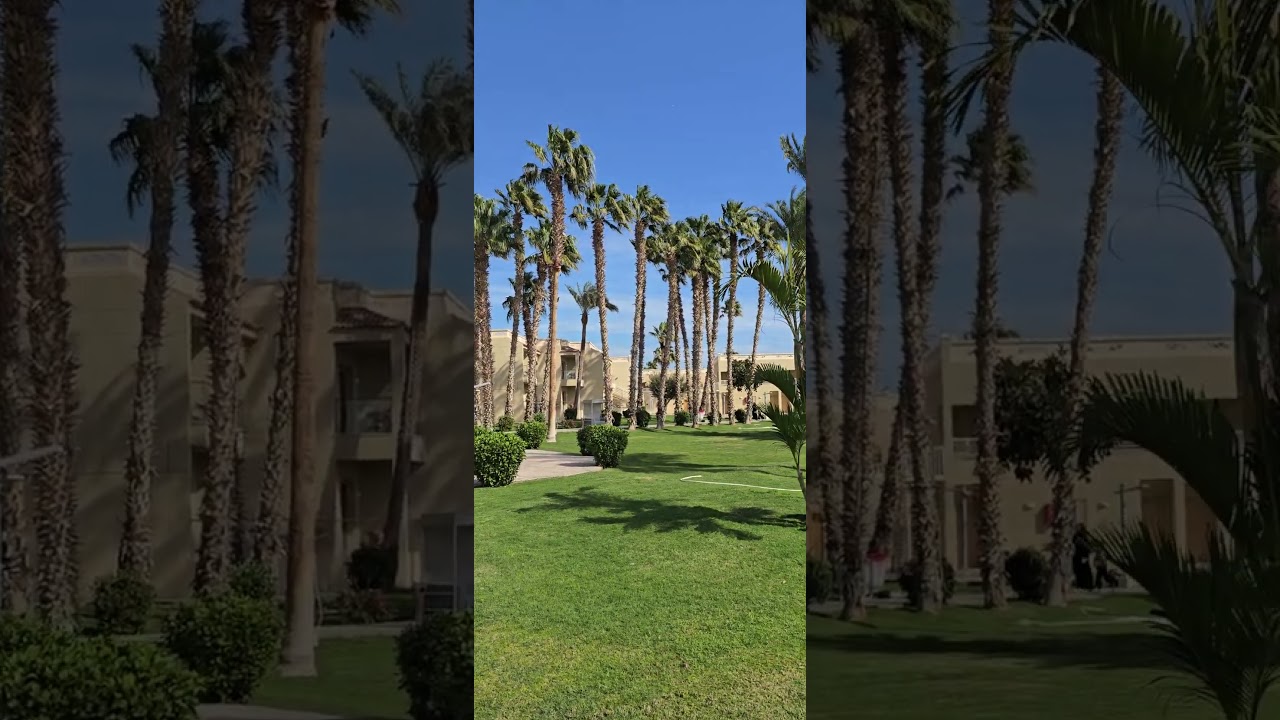 Pickalbatros Beach Hotel  Hurgada 