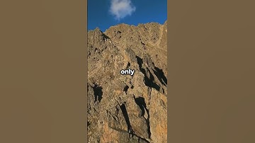 What’s the most embarrassing thing you’ve ever done