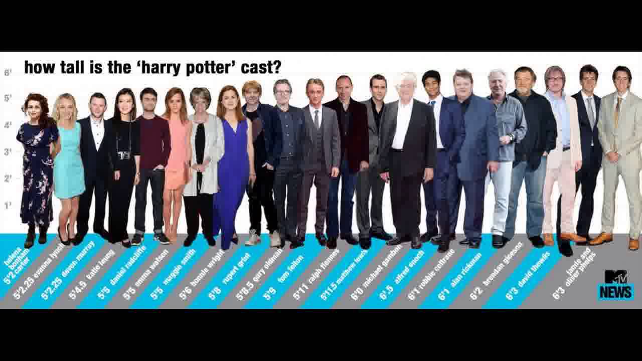 Bollywood Celebrity Height Chart