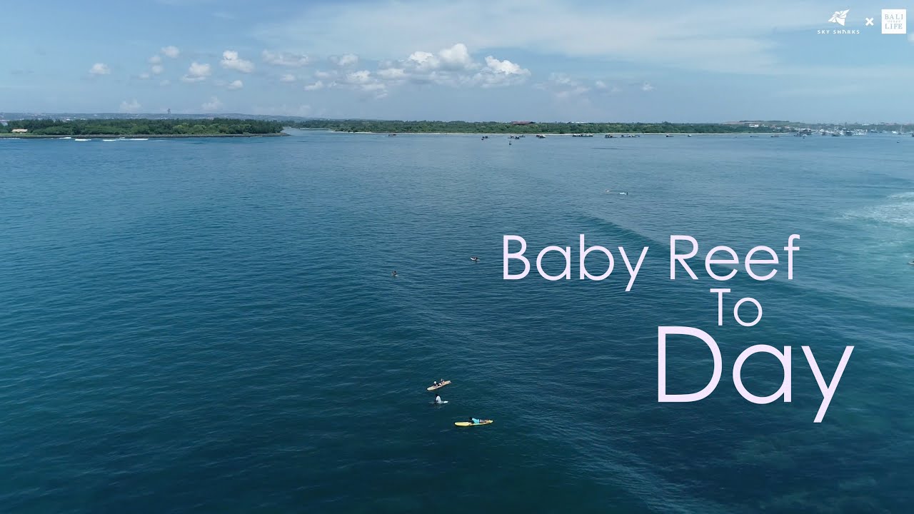 Surfing Baby Reef Beach BALI 