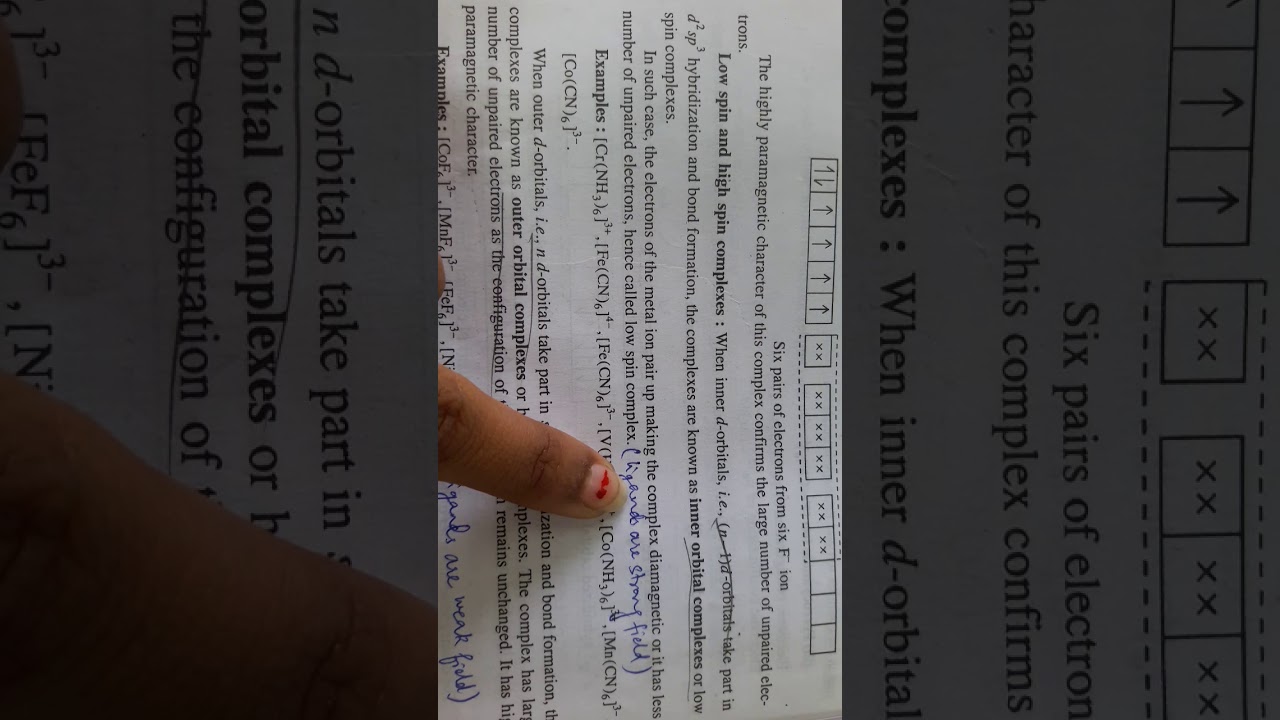 inner and outer orbital complex