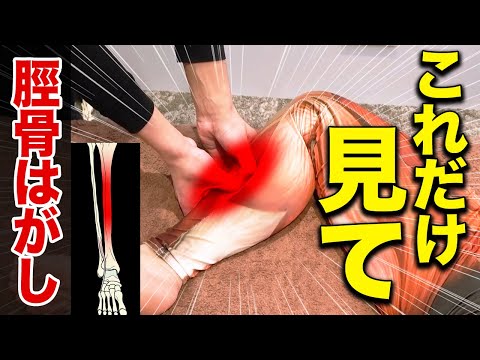 【この動画だけ見てください】腰痛にも効く「脛骨はがし」の全てが分かる最強の治療法！