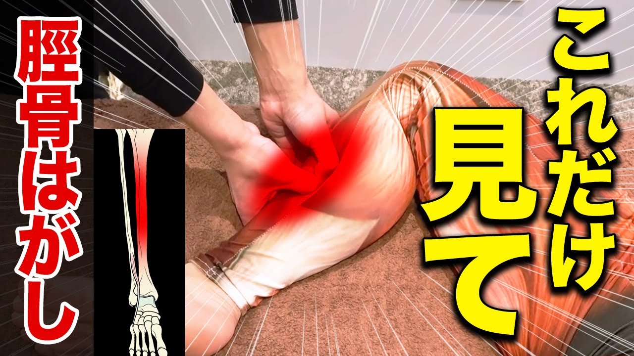 【この動画だけ見てください】腰痛にも効く「脛骨はがし」の全てが分かる最強の治療法！