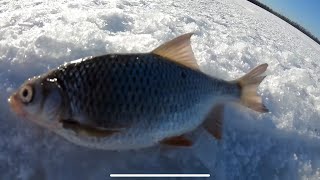 ПОИСК плотвы зимой ! КАК ПОЙМАТЬ плотву ?