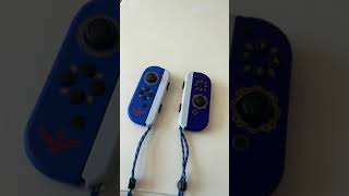 Zelda Skyward Sword Joy-cons