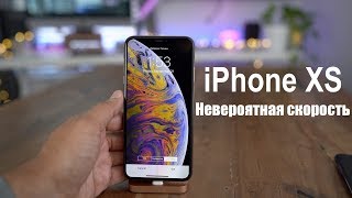 iPhone XS беглый обзор. Хлам или топ, скорость работы интерфейса, экран, камера