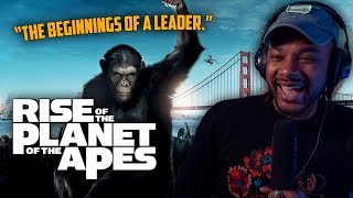 Filmmaker reacts to The Rise of the Planet of the Apes (2011)