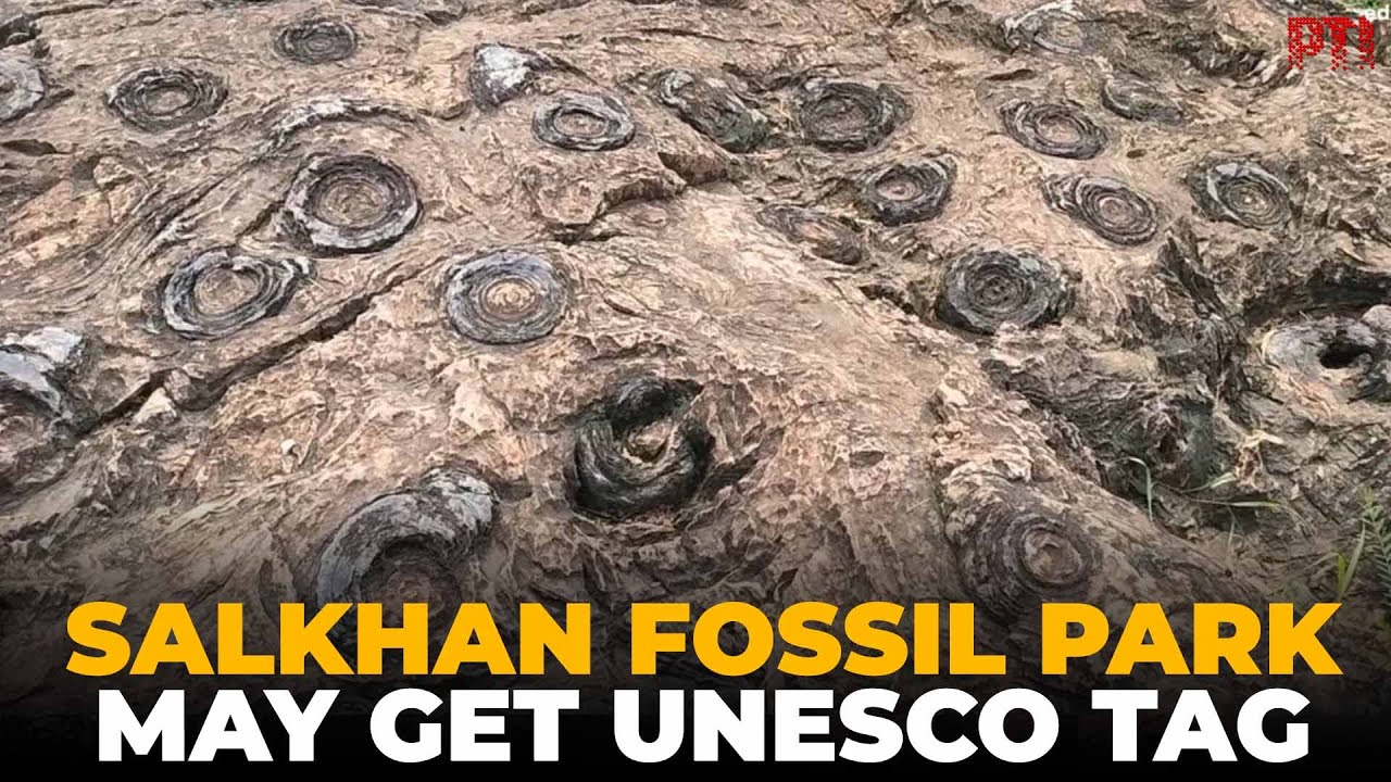 Salkhan Fossils Park in tentative list of UNESCO World Heritage Sites