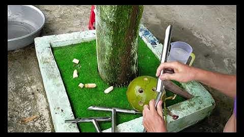 3 kiểu dụng cụ khui dừa/đục dừa siêu tốc nhất/Link mua trên Shopee  https://shope.ee/4047mQLI00