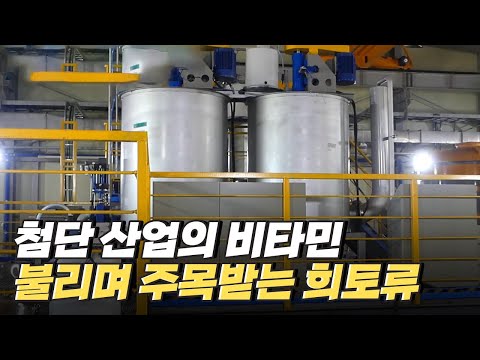 [핫클립] 석탄재의 희토류를 농축하고 회수하는 플랜트 / YTN 사이언스