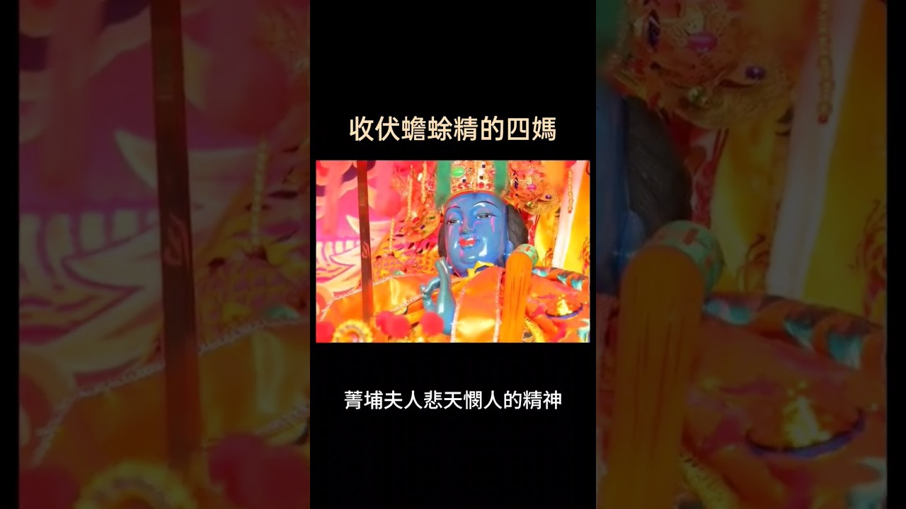 收伏蟾蜍精的四媽「菁埔夫人」