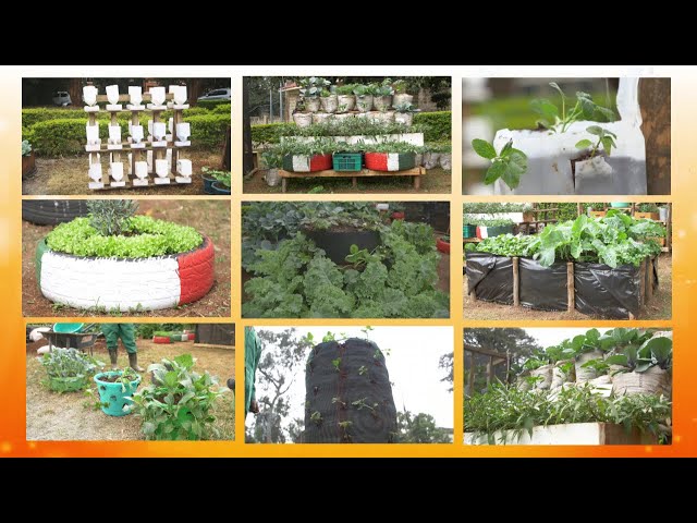 How to make a Micro Garden - Farm Kenya class=