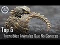 5 Increíbles Animales Que No Sabías que Existían ▶ 2