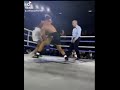 The Lion Sleeps tonight Featuring Austin Mcbroom getting KO by GIB #shorts