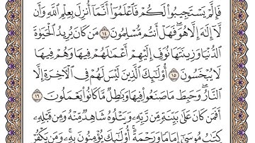 سورة هود الصفحة 223 من القران للشيخ ياسر الدوسري