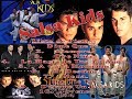 Salsa Kids Exitos -  Stallion Music Discplay