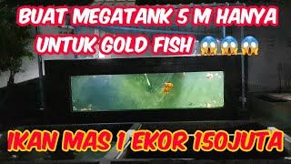 LEMES !!! GREBEK GOLD FISH HARGA 150JUTA DI MEGATANK 5M  INI NAMANYA LORD NYA SULTAN