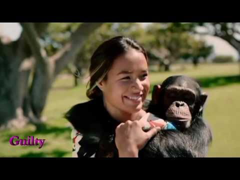 ME AND MY MONKEY - ROBBIE WILLIAMS
