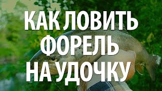 видео Ловля форели: как ловить, на что клюет, снасть, крючки