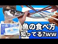 魚の正しい食べ方、知ってますか？wwwww