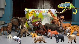sea wild farm new animal entertainment 13+ dinosaurs horse tiger lion cow sheep p3+ Animals Demo