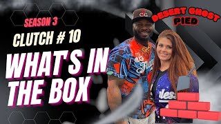 Famous Flawless S03 Clutch 10 Desert Ghost Pied #ballpython #ballpythonbreeder Wealth