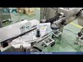 Why Is the CX-500QN Metal Detector Essential for Food and Pharma Safety?