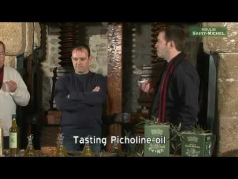 Olive oil tasting