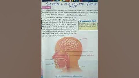 Science Class 6 Lecture 7 | Ambreen | Falcon School System