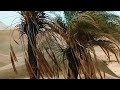 غرام حب 