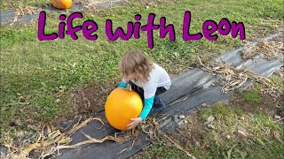 Cairnie Fruit Farm and the Pumpkin Patch