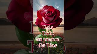 #rosashermosas #buenas noches #parati