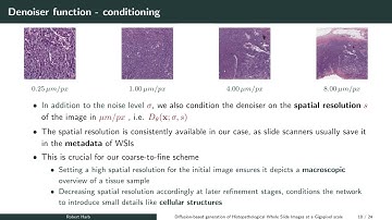 Diffusion-Based Generation of Histopathological Whole Slide Images at a Gigapixel Scale
