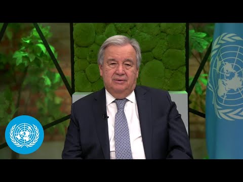 Intl day of education: united nations chief