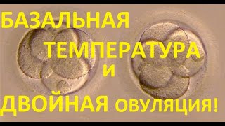 🌡️БАЗАЛЬНАЯ ТЕМПЕРАТУРА ПРИ 👶👶ДВОЙНОЙ ОВУЛЯЦИИ 💥+РЕАЛЬНЫЕ ГРАФИКИ!