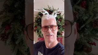 My Christmas Bush