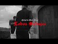 SWIT EME & GRIND -  LOBOS SALVAJES