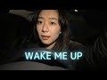 Wake Me Up - Avicii (cover)