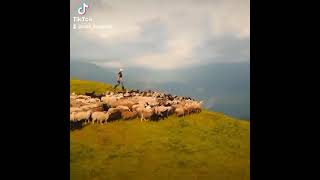 #Azerbaijan #Baku #tourismdestination #tours2022 #Zhalatourguide