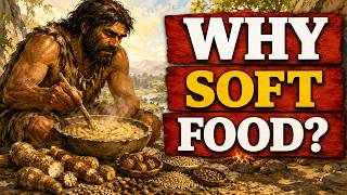 Why Humans Need Soft Food More Than We Think | History for Sleep screenshot 3