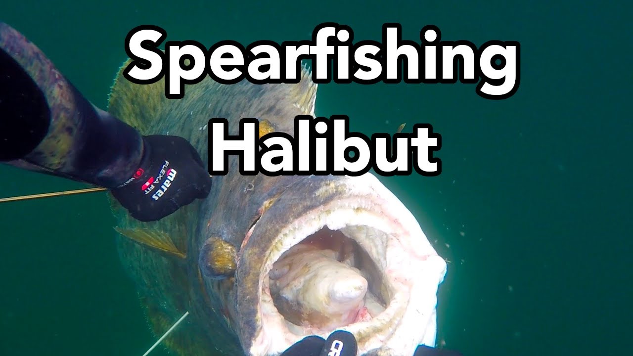 Spearfishing in Europe - Law, Rules and Restrictions - countries -  harpune.info