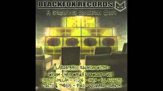 Simulah - Gunfire A Growing Concern Va Blackfox Records