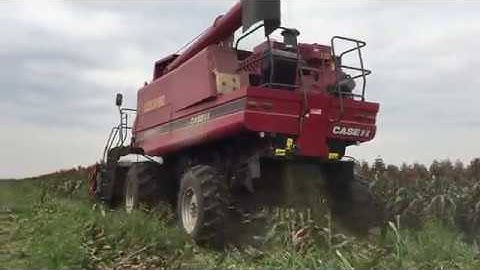 Tianren Milo Header Working Video