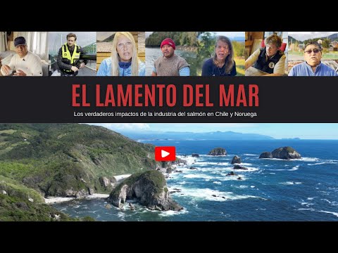 El Lamento del Mar – Documental Completo | El Costo Oculto de la Salmonicultura en Chile y Noruega