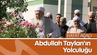 Hayat Ağacı | Abdullah Taylan'ın Yolculuğu: Muş’tan Ülfet Vakfı’na İlham Veren Bir Hayat