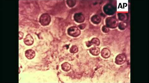 News Item (8a77a8fe-84ba-e36e-b7d0-dedc0dee4692)